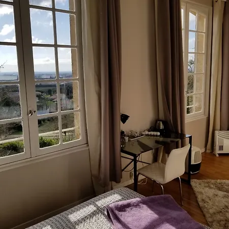 Domaine De Bellevue *